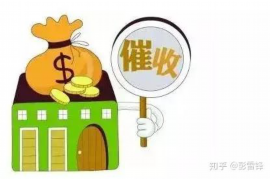 尖山为什么选择专业追讨公司来处理您的债务纠纷？